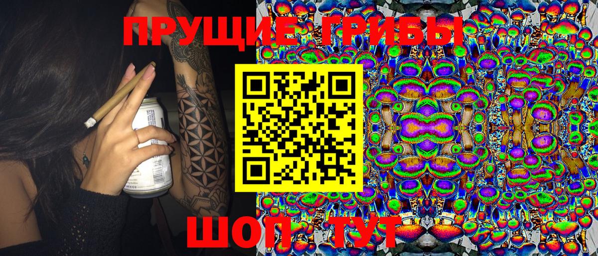 Галлюциногенные грибы GOLDEN TEACHER  как найти   Галлюциногенные грибы мухоморы  Каменск-Шахтинский  Вход с VPN 